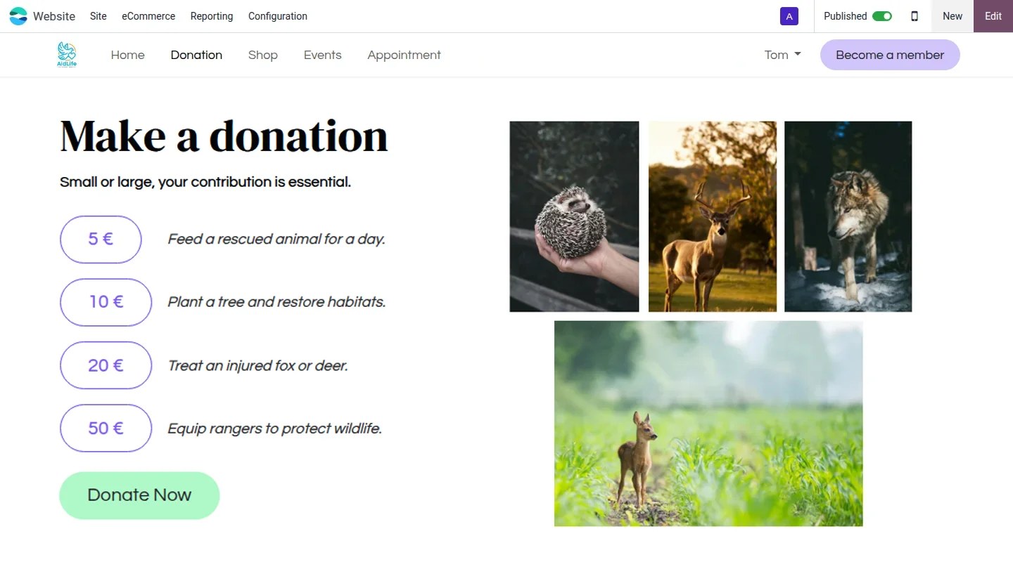 Site web Odoo pour une association, avec formulaire de don intégré.