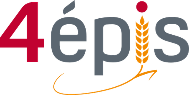 4 Épis