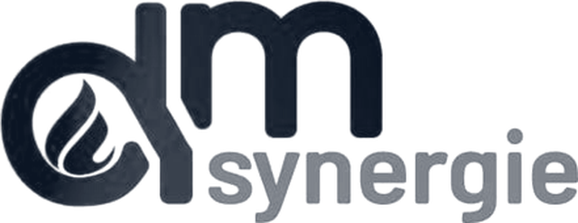 DM Synergie